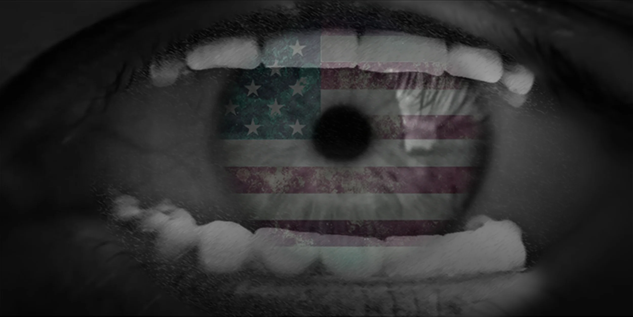 vet-visions-mimfm.jpg