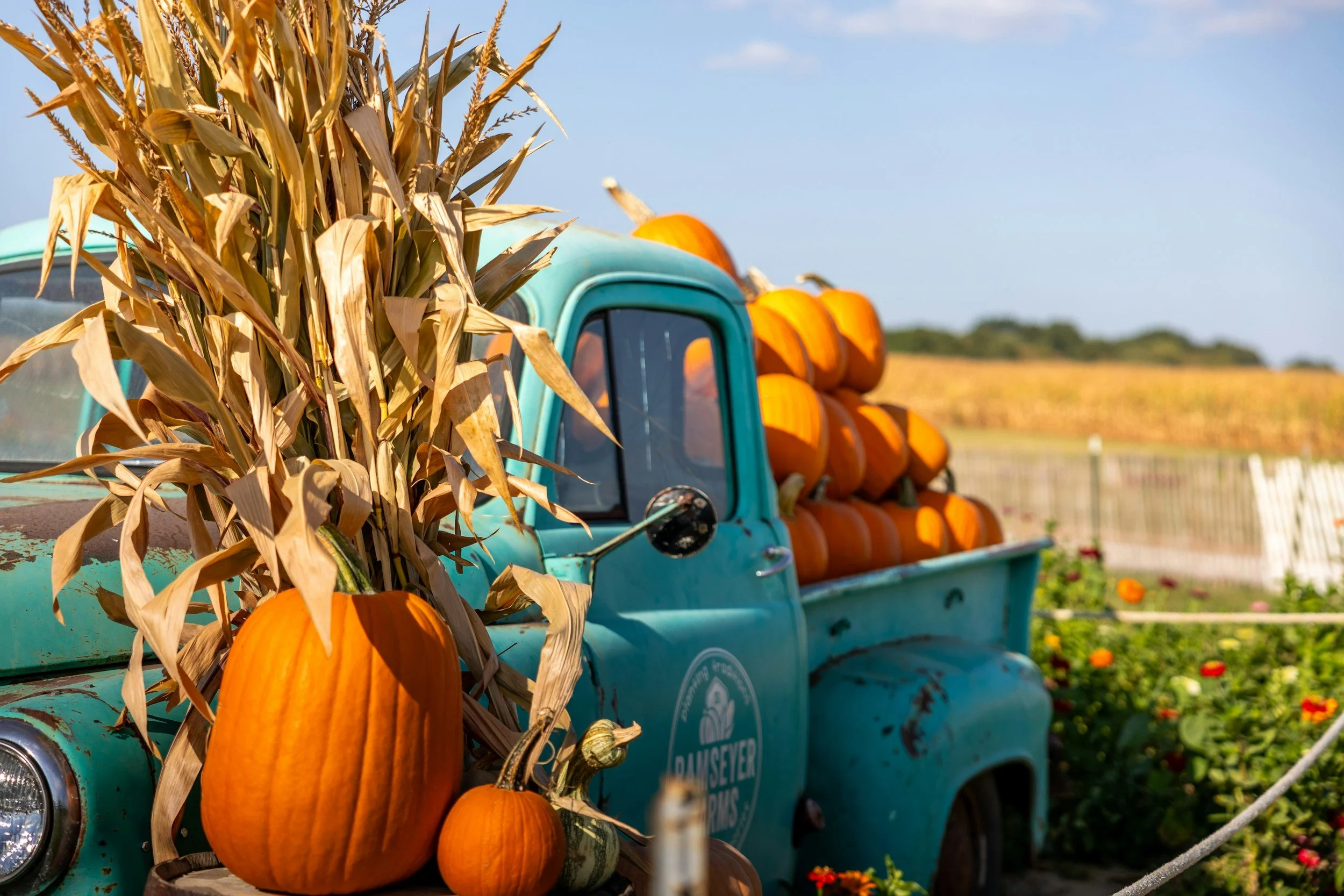 Fall Fest at Country Creek 