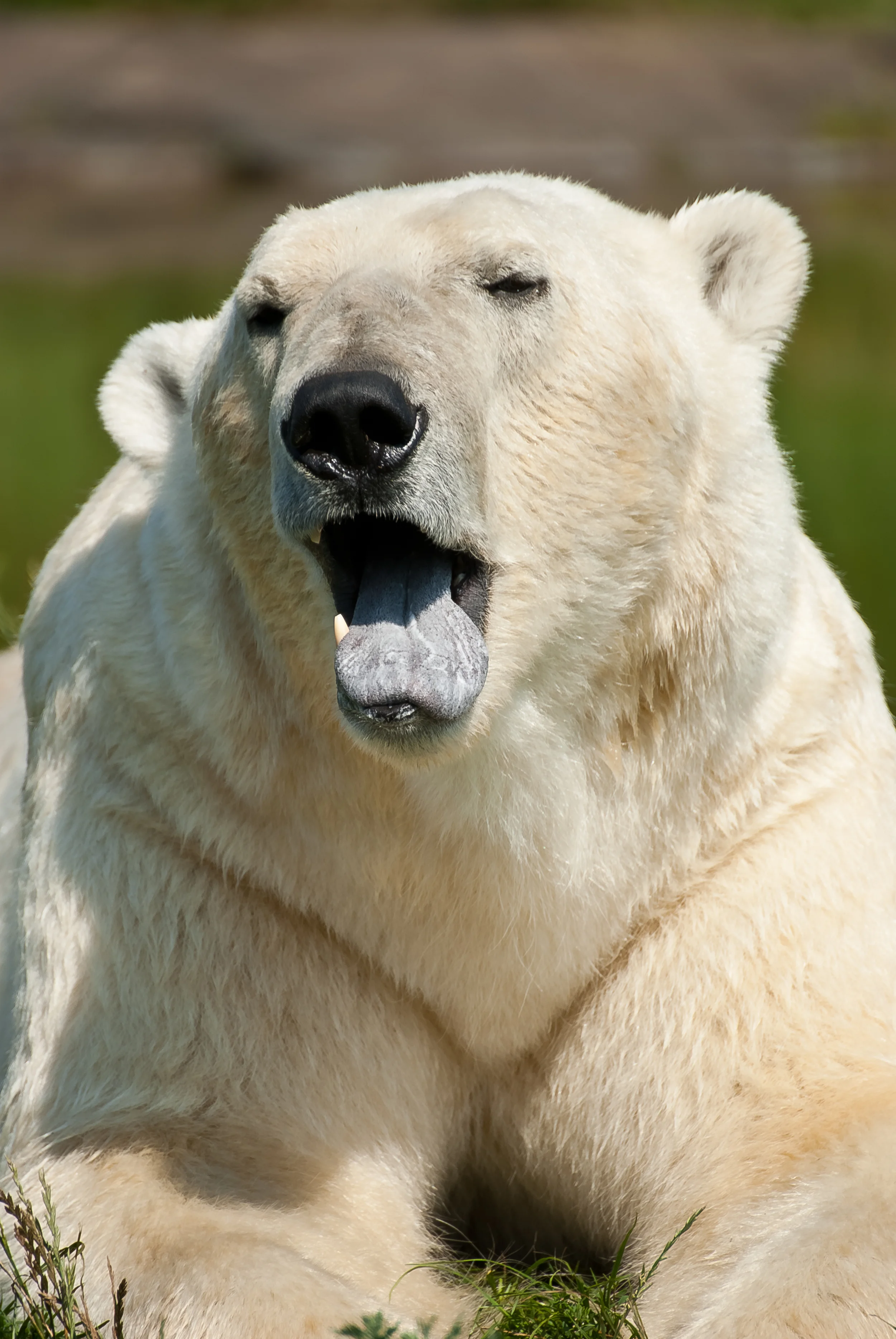 _DSC9898.jpg