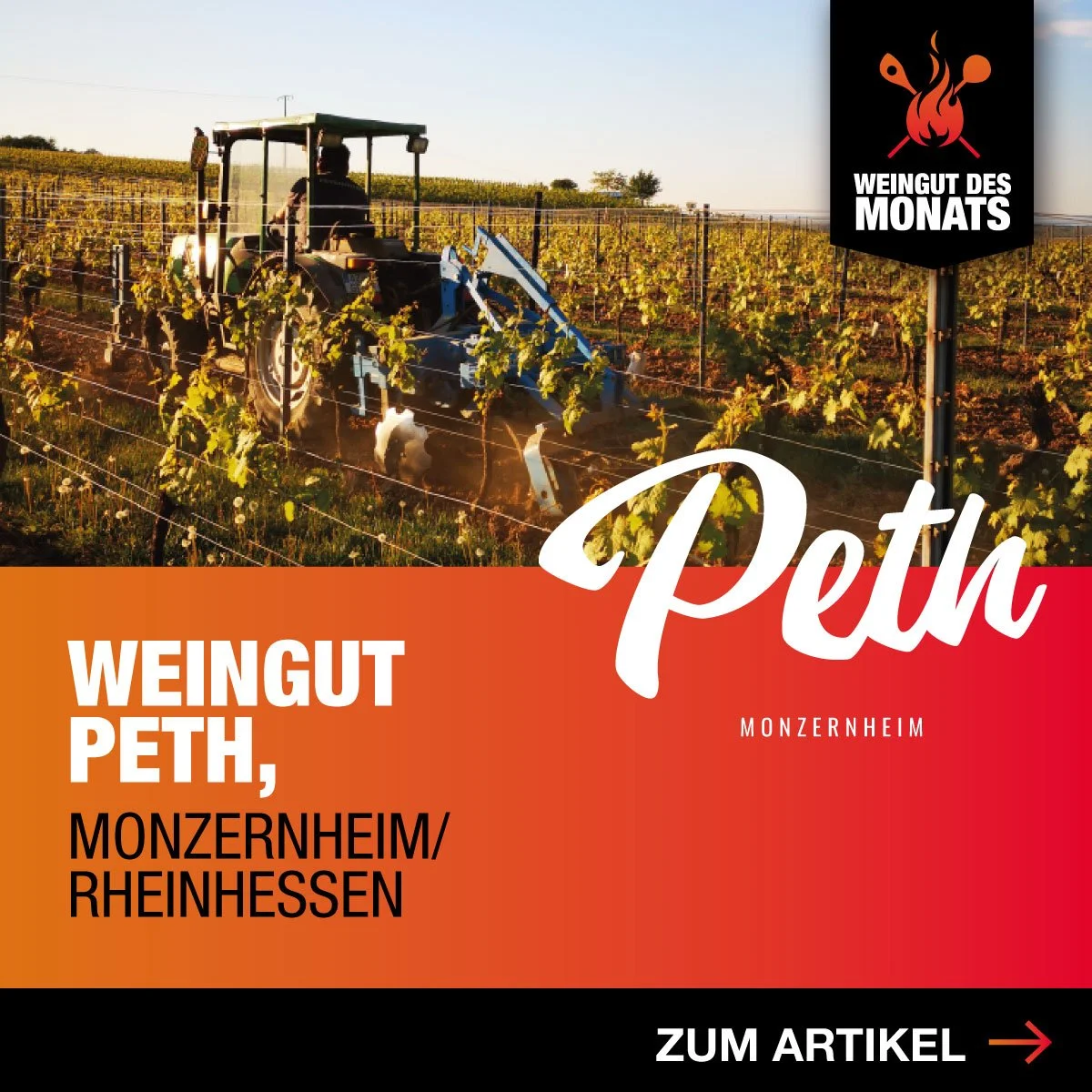 GFB_WEINGUT-DES-MONATS.jpg