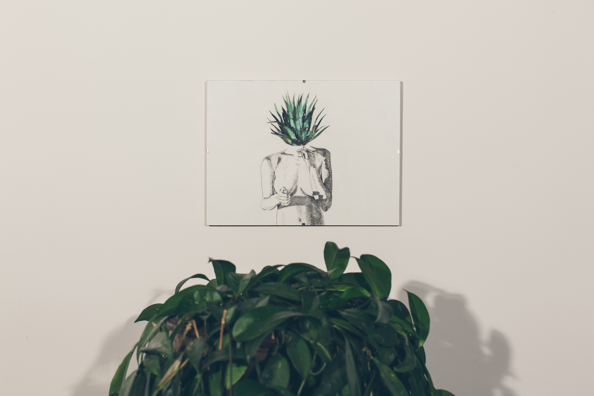 IMG_4972small rez.jpg