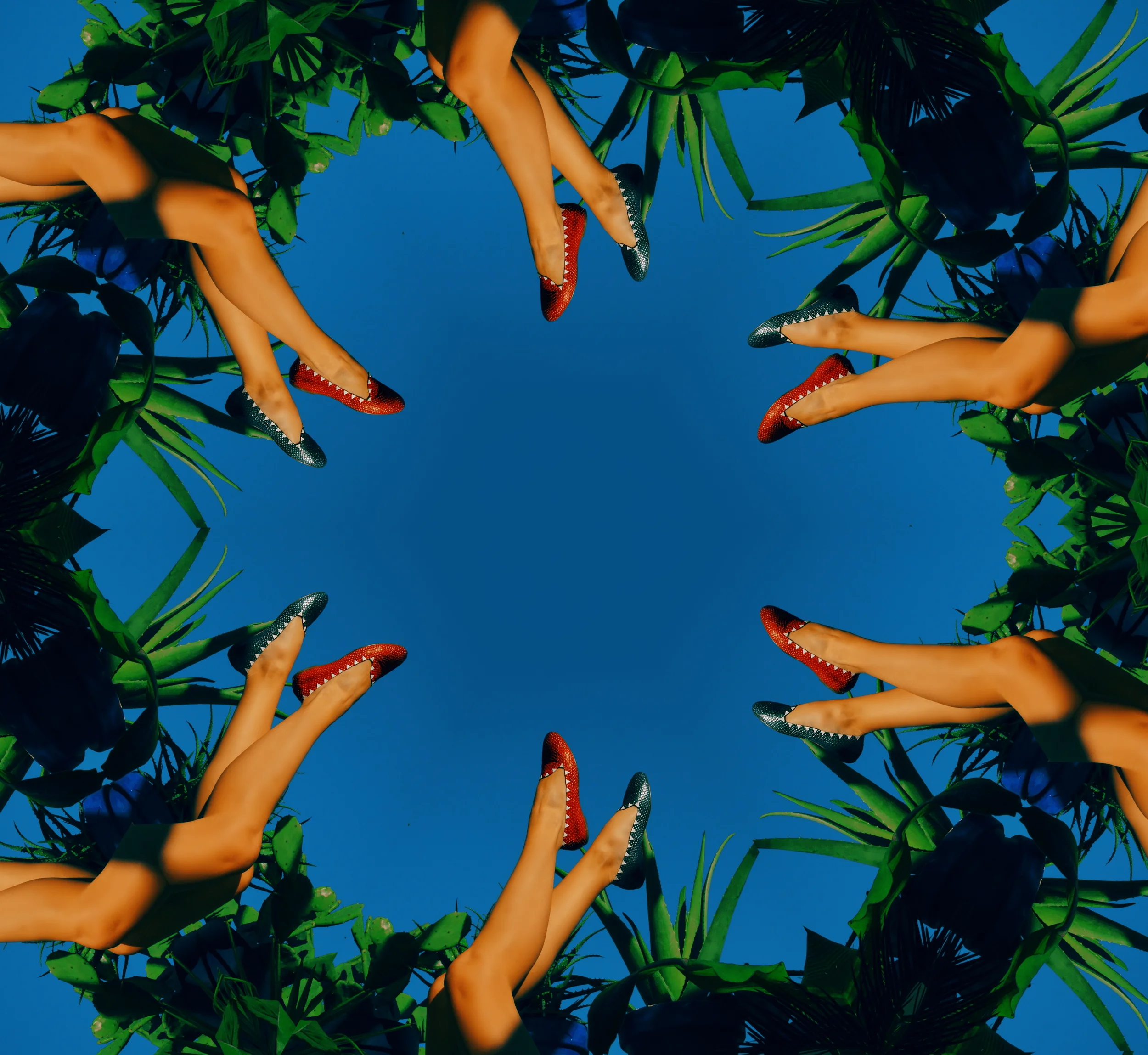 DIEGO DIAZ MARIN1557.JPG