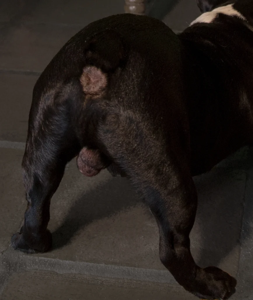 doubleview teta00002563.JPG