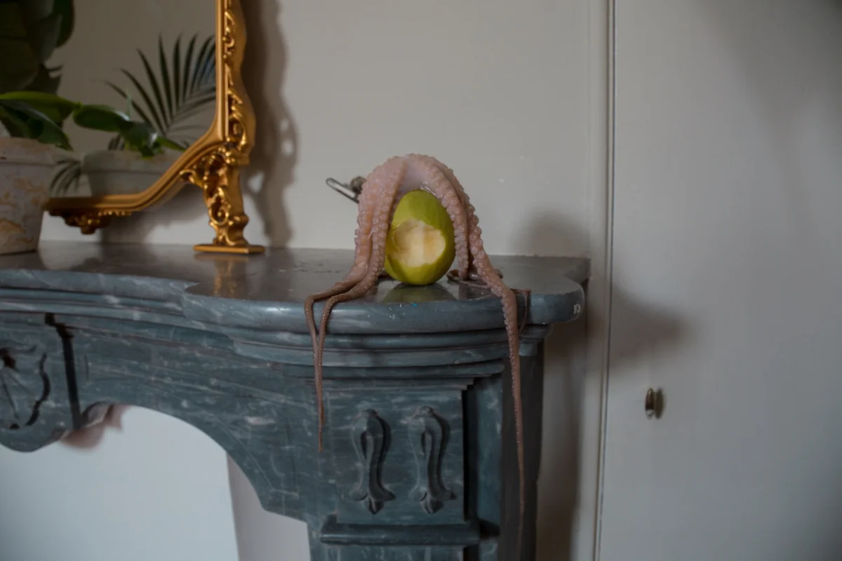 doubleview teta00002866.JPG