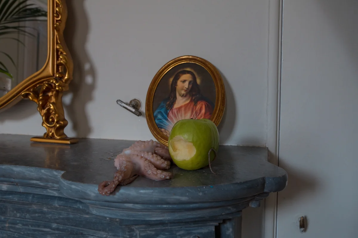 doubleview teta00002867.JPG