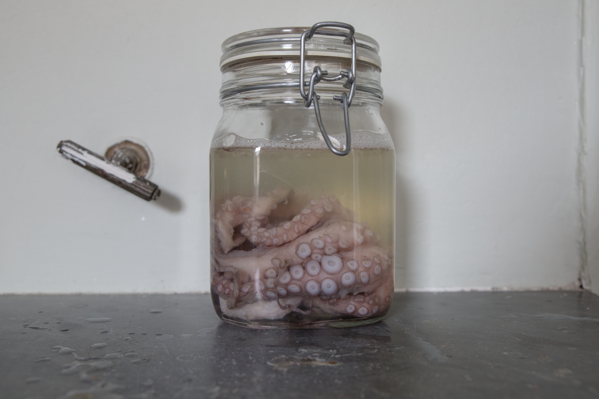 doubleview teta00002876.JPG