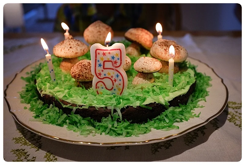 Meringue Mushroom birthday cake with coconut flake grass
