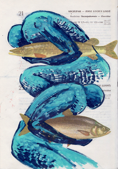   Poisson 3 , 2013, mixed media collage 