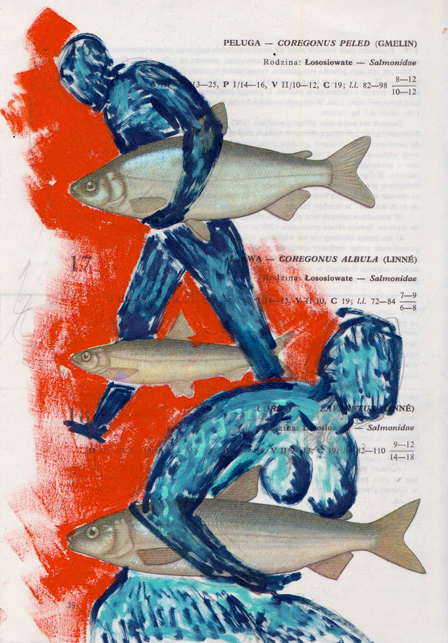   Poisson 4 , 2013, mixed media collage 