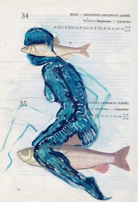   Poisson 7 , 2013, mixed media collage 