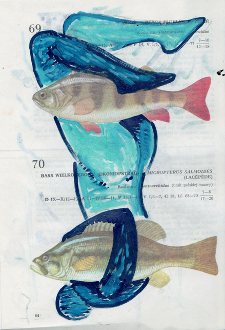   Poisson 9 , 2013, mixed media collage 