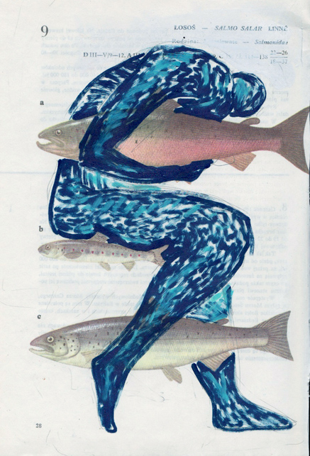   Poisson 15 , 2013, mixed media collage 