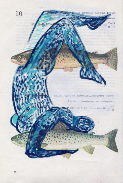   Poisson 17 , 2013, mixed media collage 