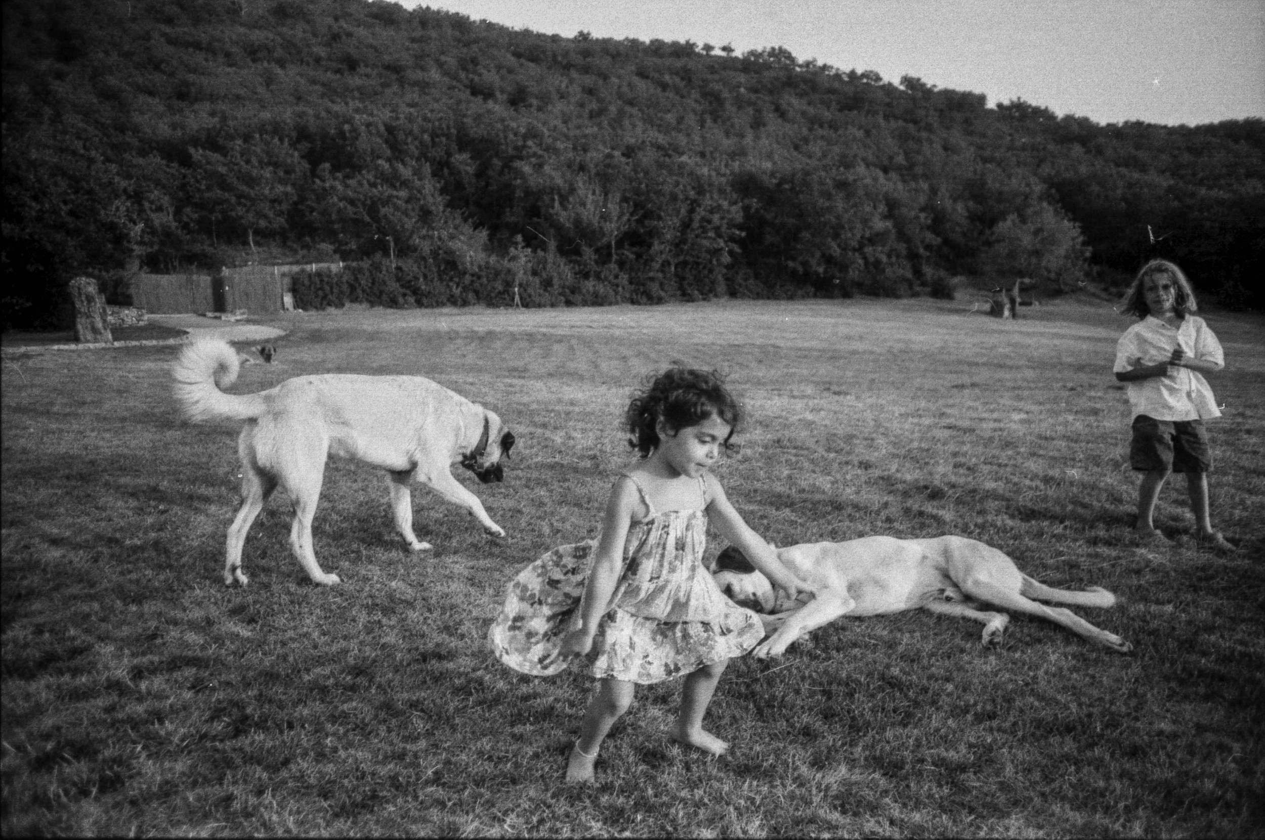 Image0027.jpeg