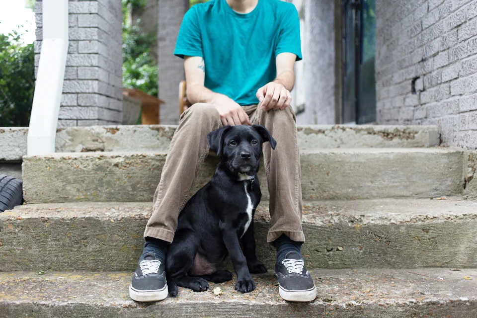 April Adoption Event at Battery Park