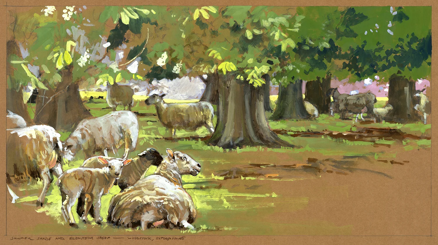 Summer Shade and Blenheim Sheep