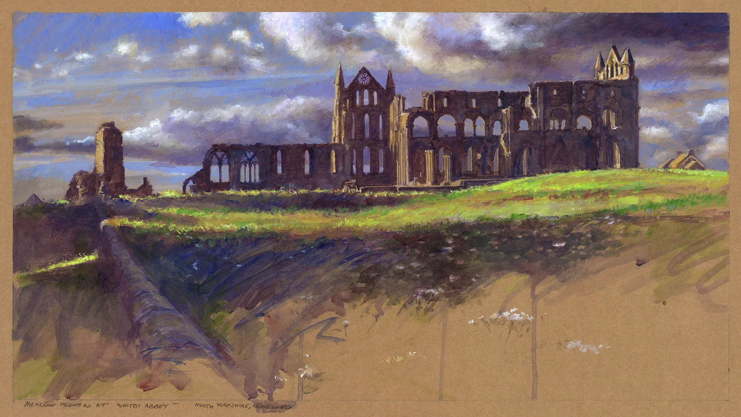 Meadow Flowers at Whitby Abbey