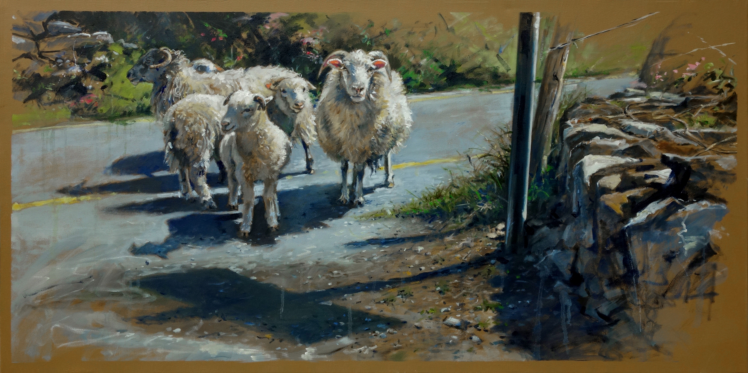 Ireland Series