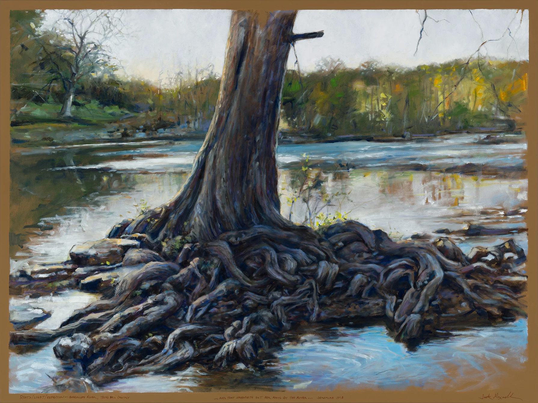 ROOTS/LIGHT/REFLECTION-- GUADALUPE RIVER, TEXAS HILL COUNTRY