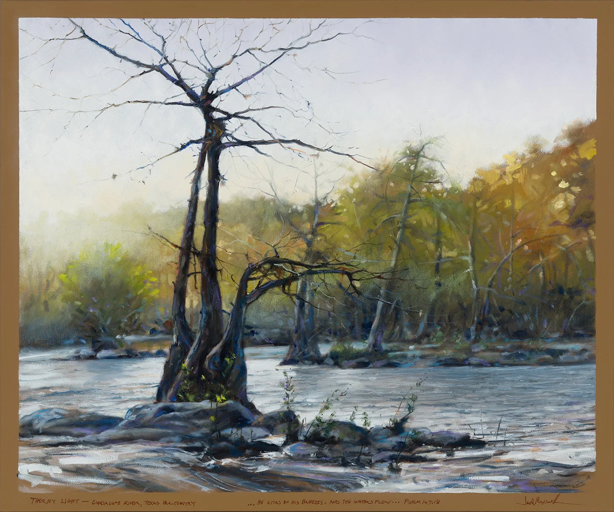 THORNY LIGHT-- GUADALUPE RIVER, TEXAS HILL COUNTRY