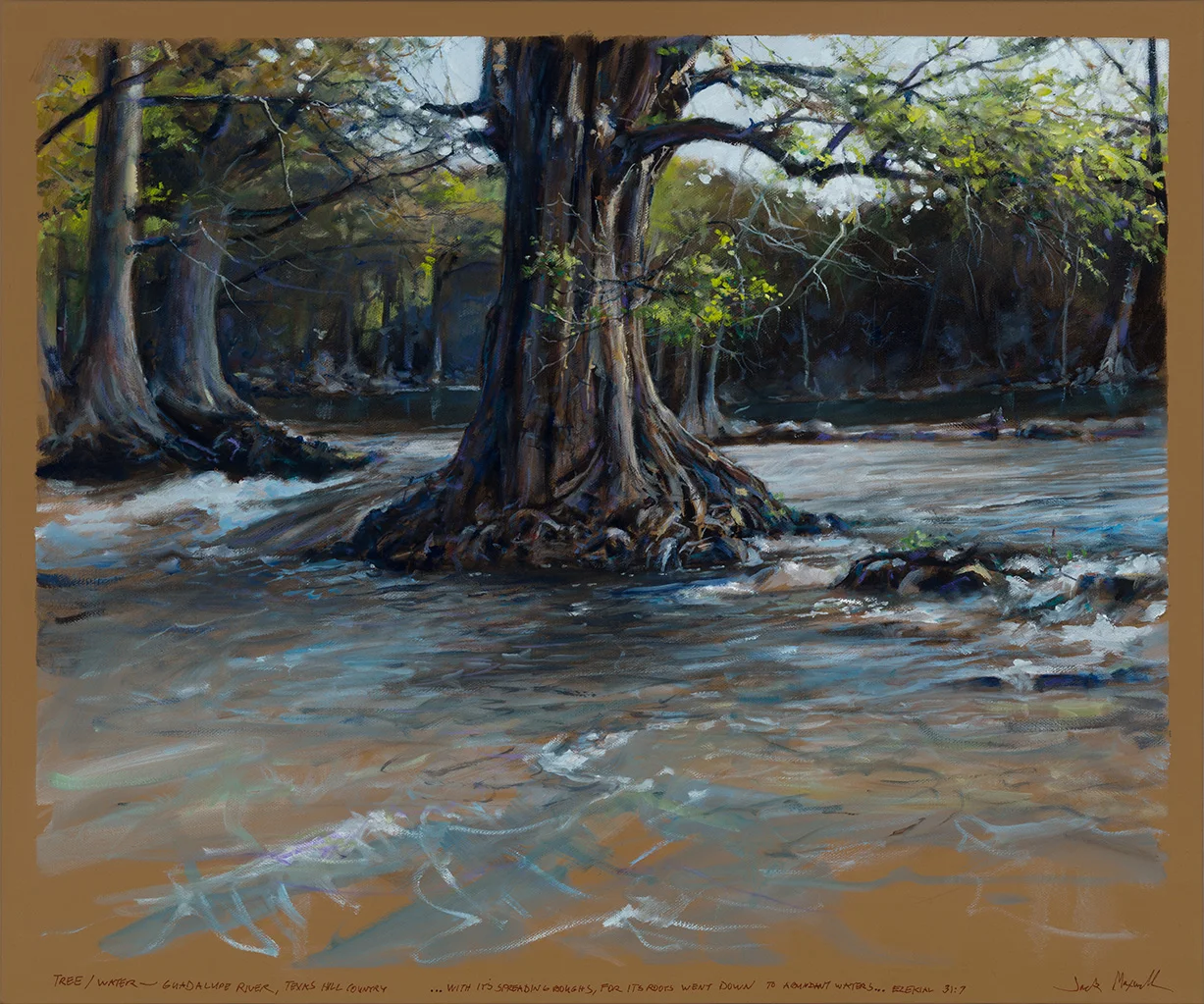TREE/WATER -- GUADALUPE RIVER, TEXAS HILL COUNTRY