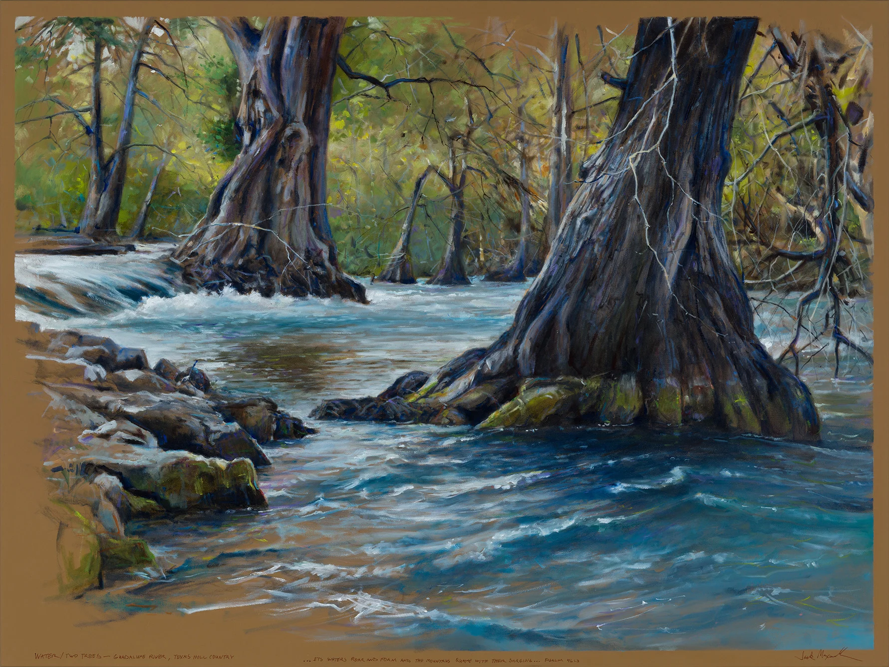 WATER/TWO TREES-- GUADALUPE RIVER, TEXAS HILL COUNTRY