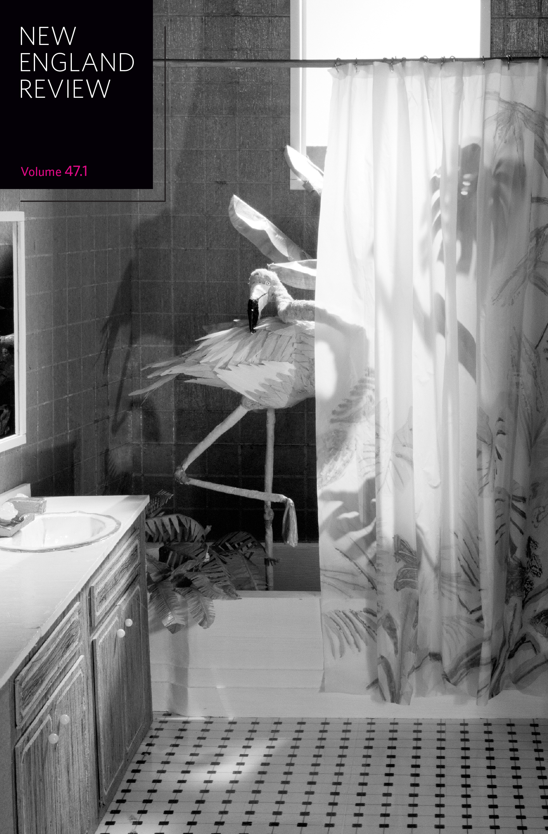 NEW ENGLAND REVIEW: Volume 47, Number 1