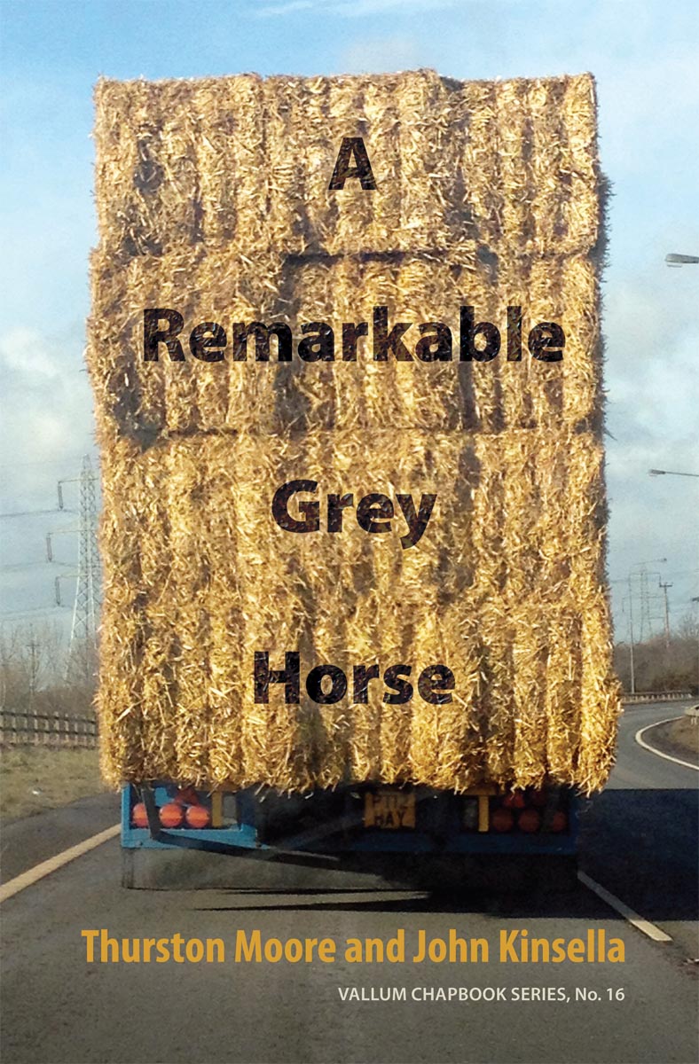 A Remarkable Grey Horse.jpg