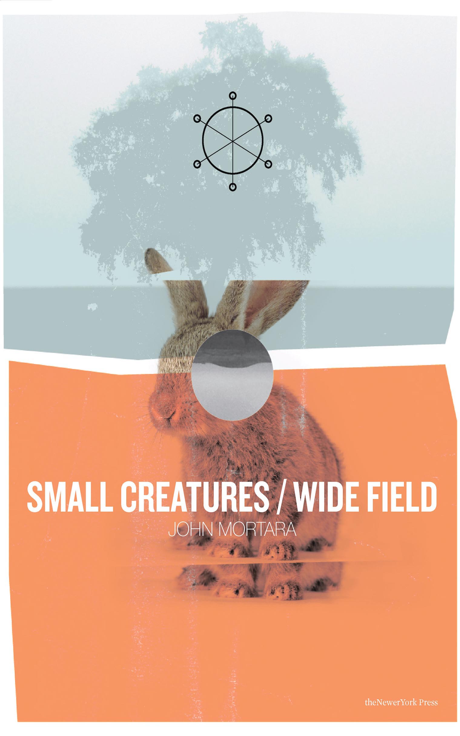 Small Creatures Wide Field.jpg