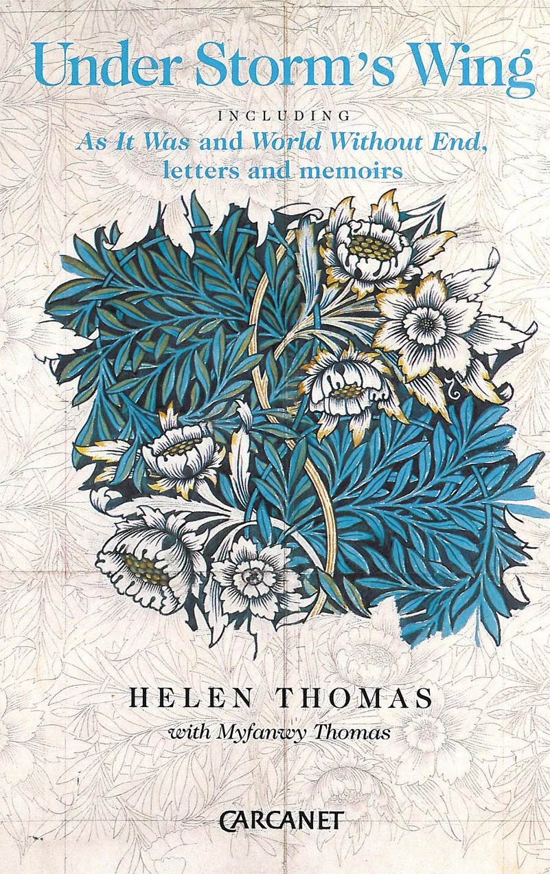 UNDER STORM'S WING by Helen Thomas
