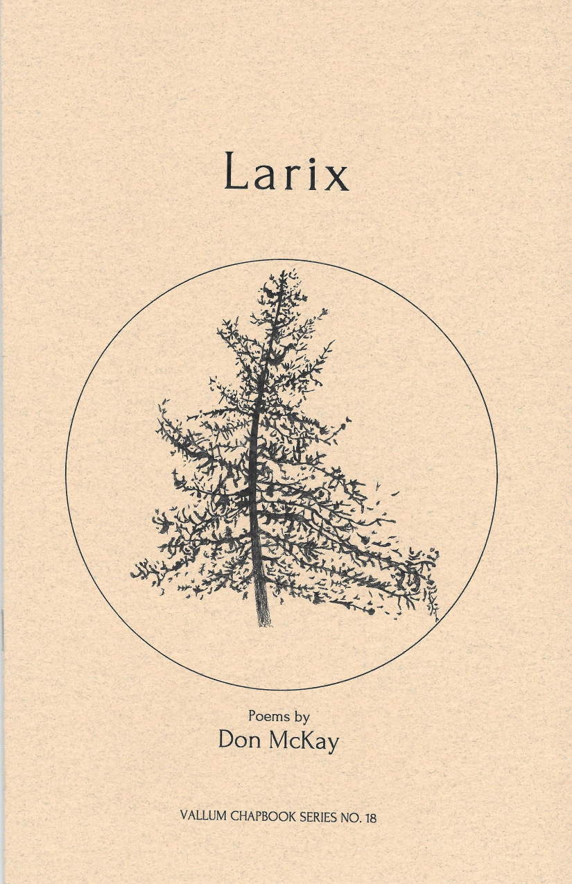 Larix Don McKay.jpg