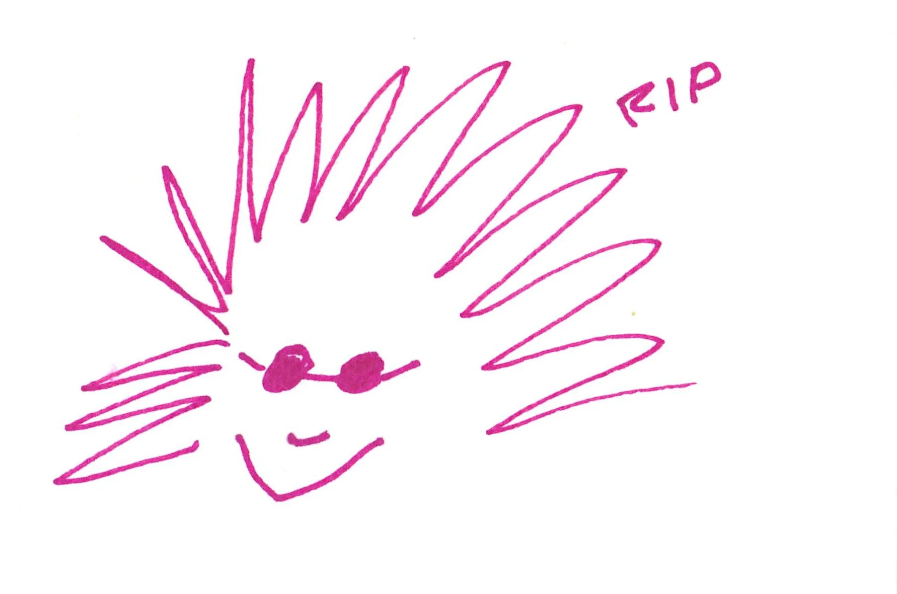 6andydrawings.jpg