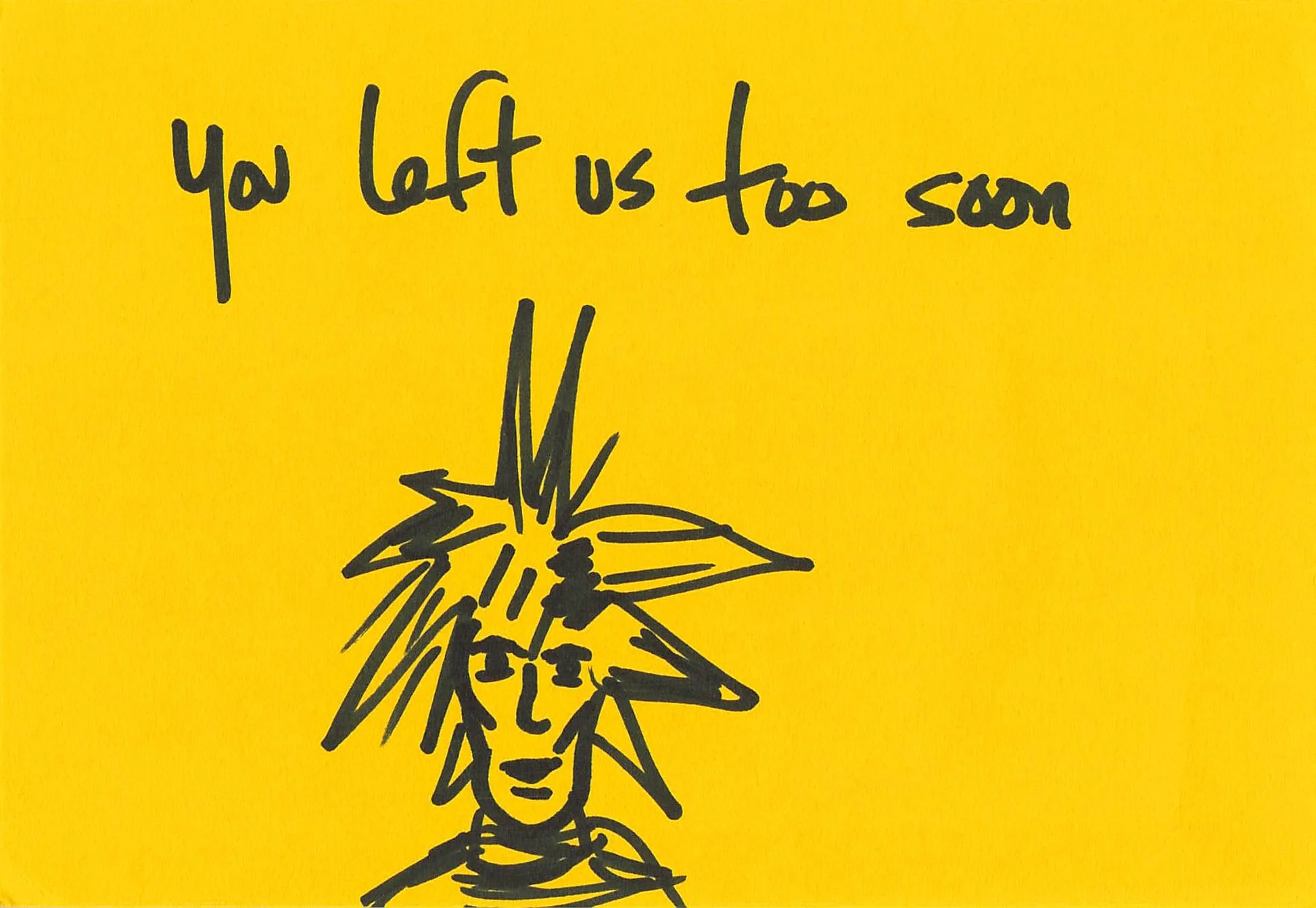 13andydrawings.jpg