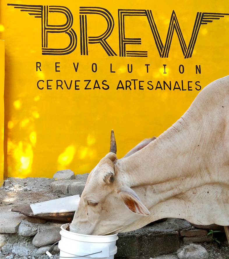 brewrevolution_01b.jpg