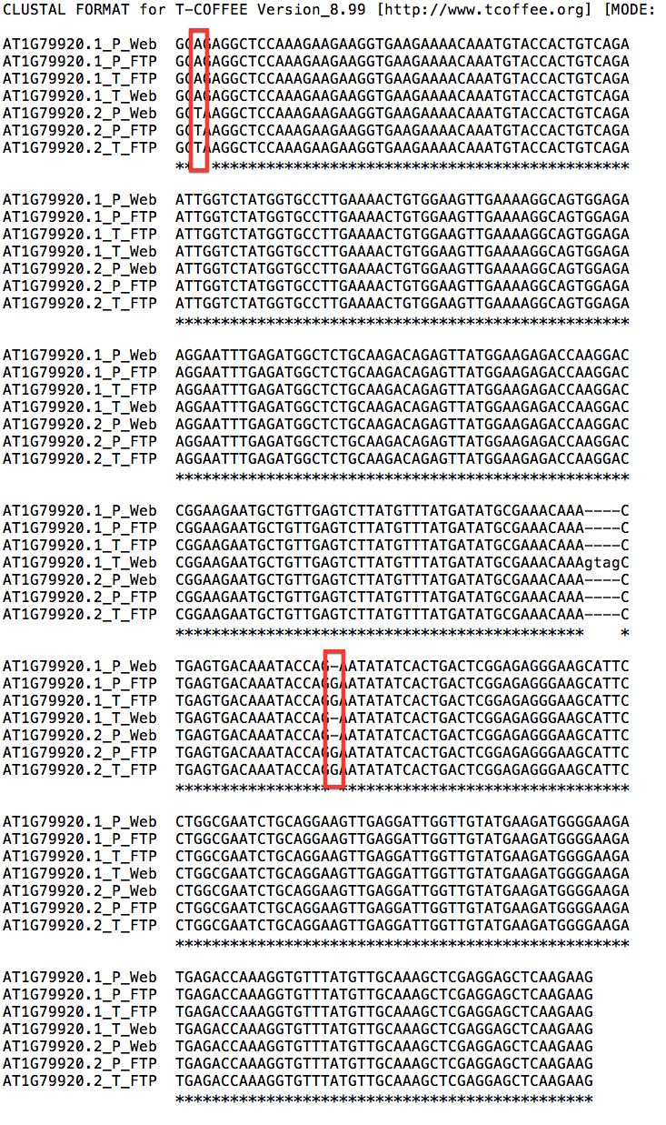 2013-08-30 at 3.25 PM.png