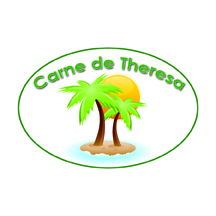 CDT-Logo5.jpg