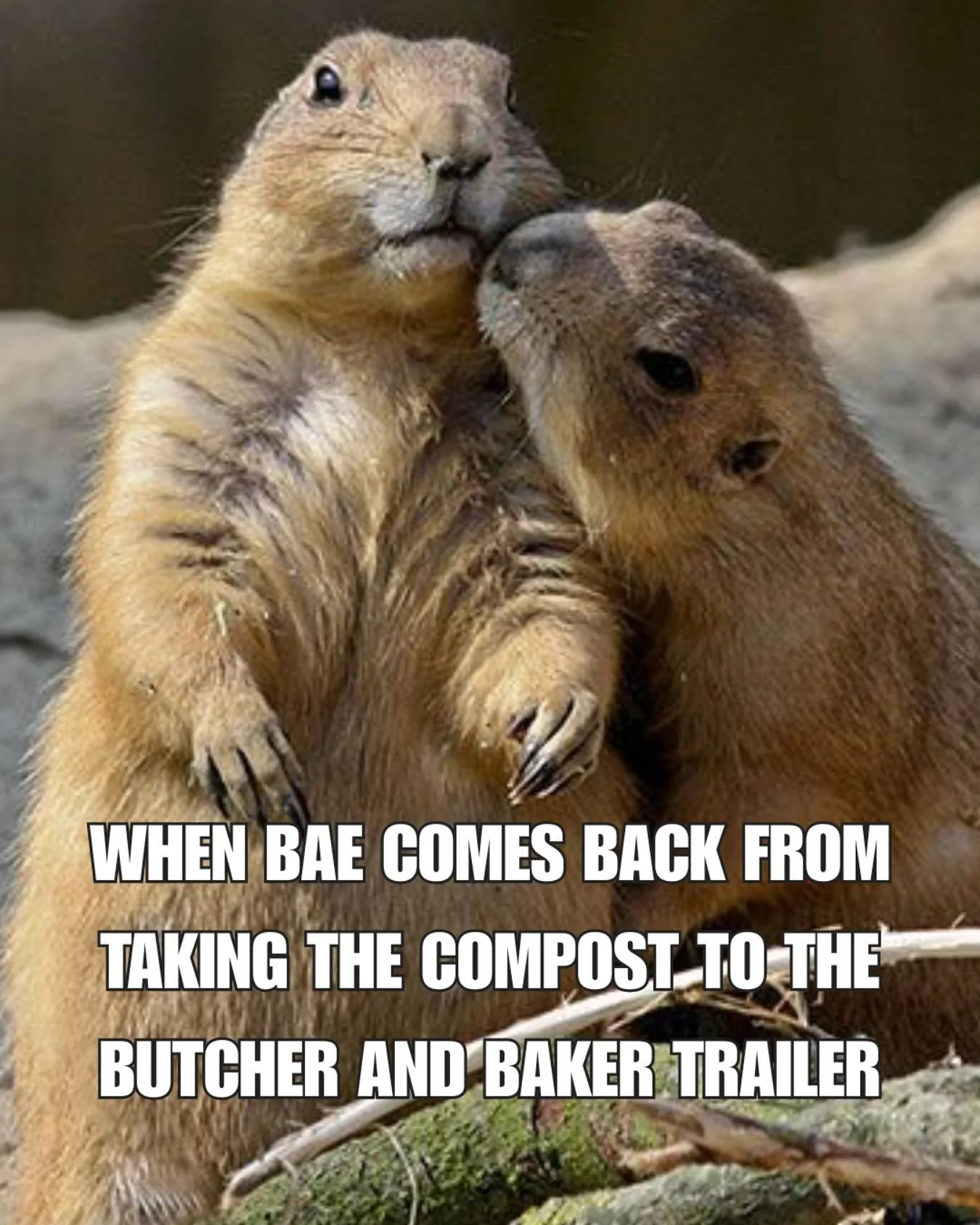 Anyone else?! 

Did you know you can compost at the trailer behind the Butcher and the Baker for FREE? Just remember: no meat, bones, citrus or compostable packaging/ bags! 

This community composting project was made possible by the Green Grants pro