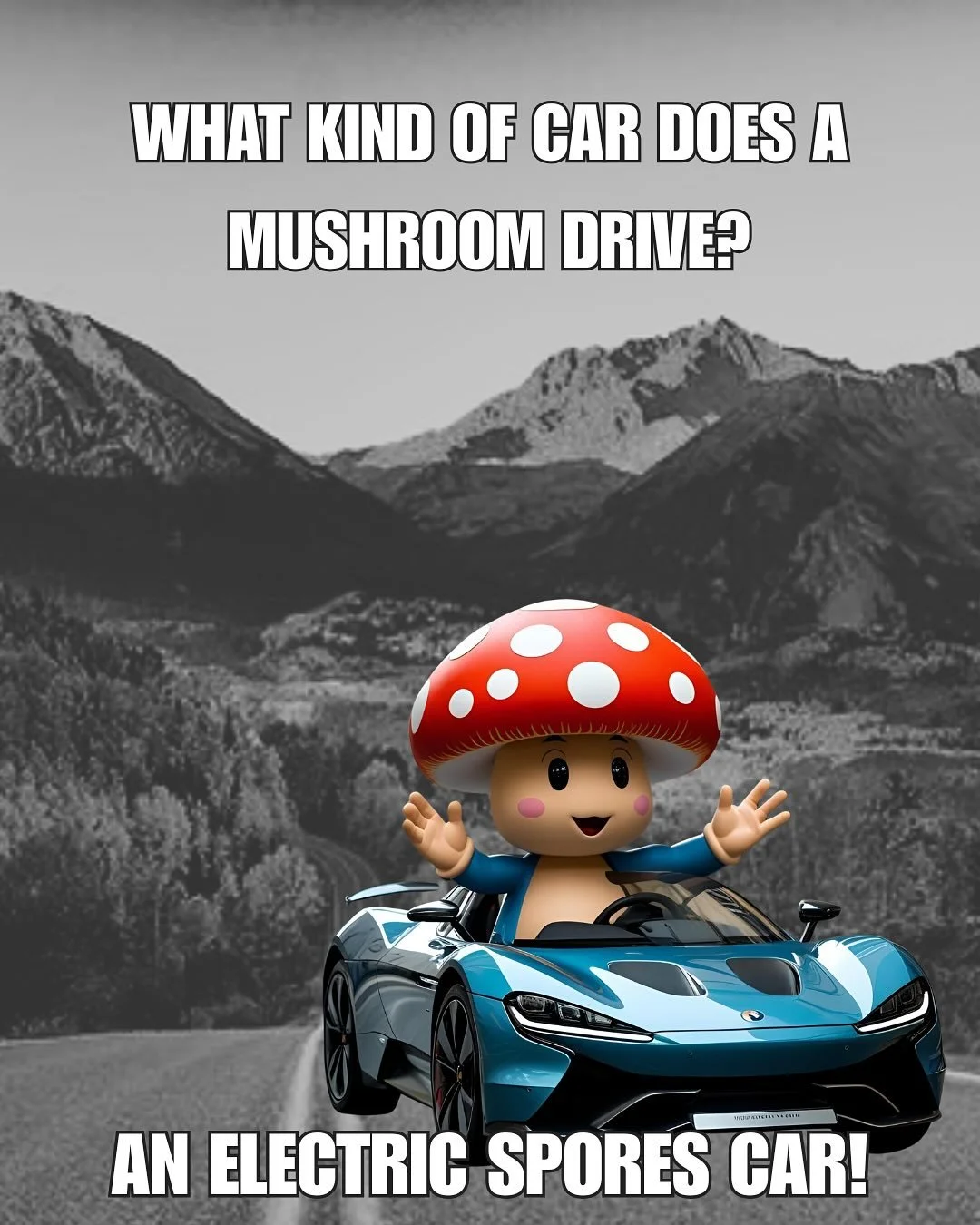 In honor of the Mushroom Festival here in Telluride, here is a mushroom driving an electric spores car! 🍄🚘⚡️

Did you know you could save up to $12,500 in stackable rebates and tax credits when purchasing an electric vehicle? Swipe to see the next 