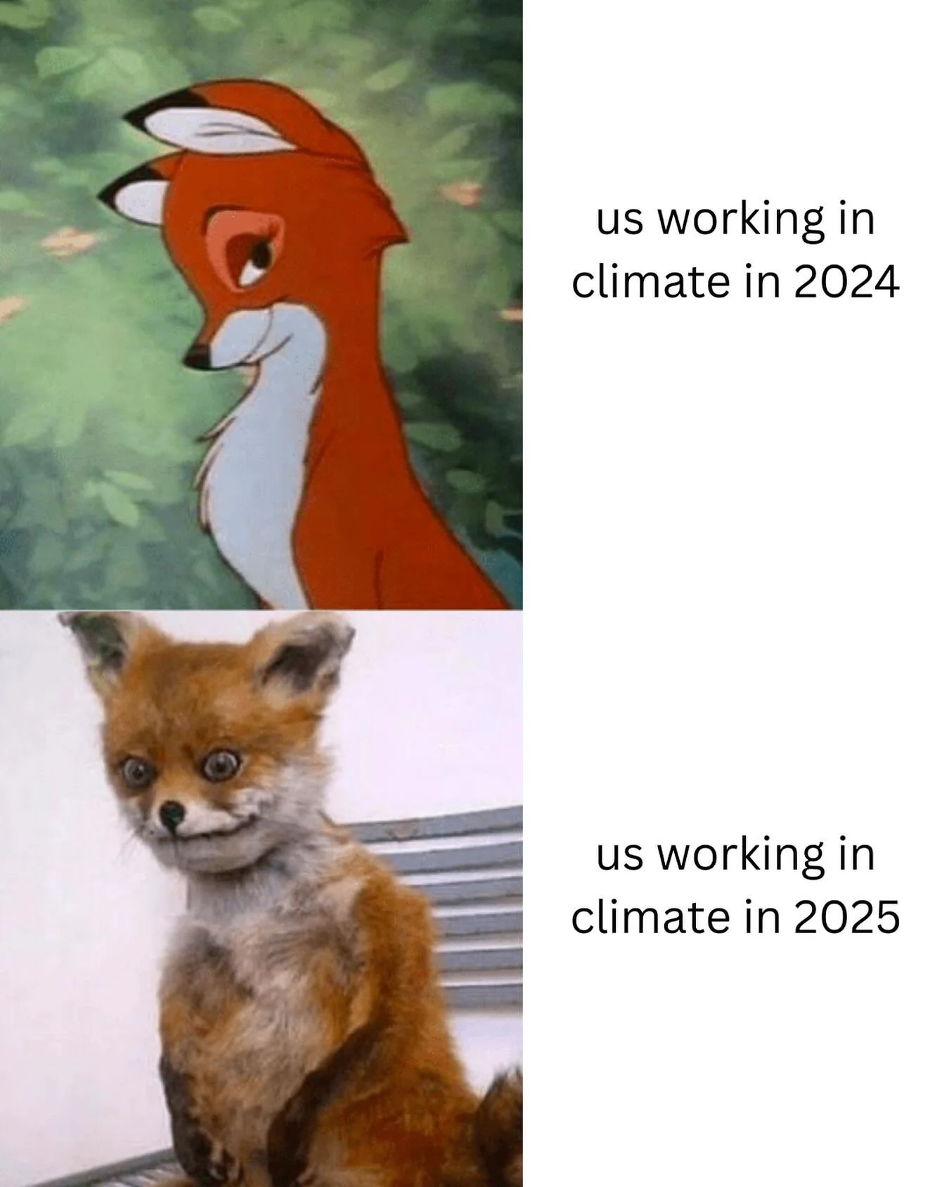 Spooky season&mdash; all year long!