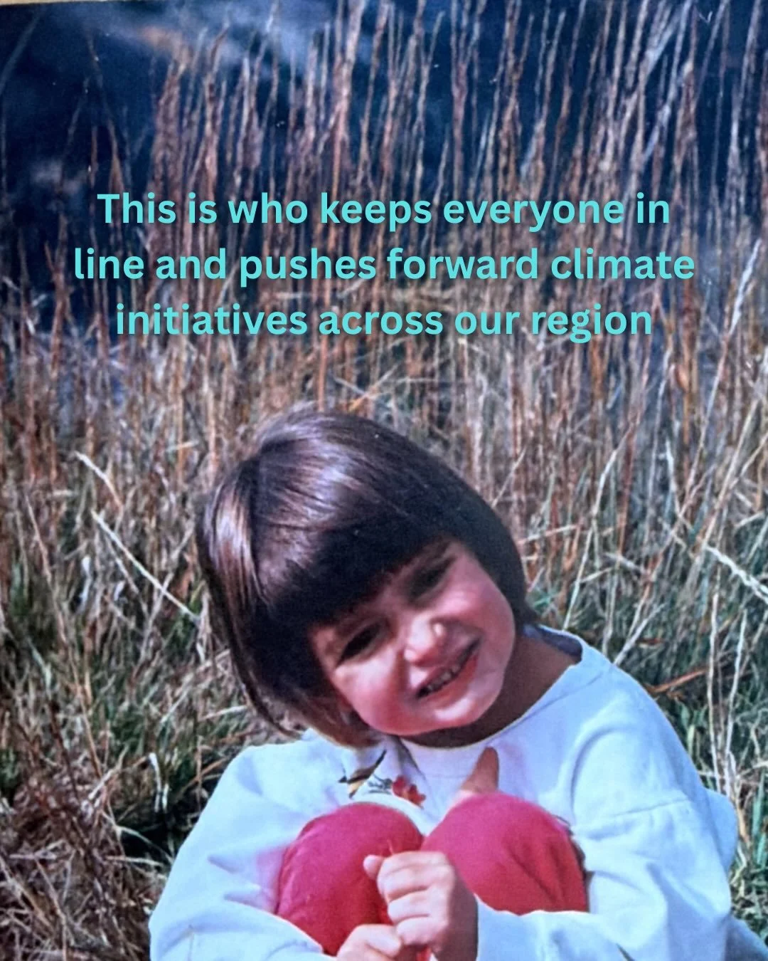 Meet the EAP team! How can we support your climate action dreams?