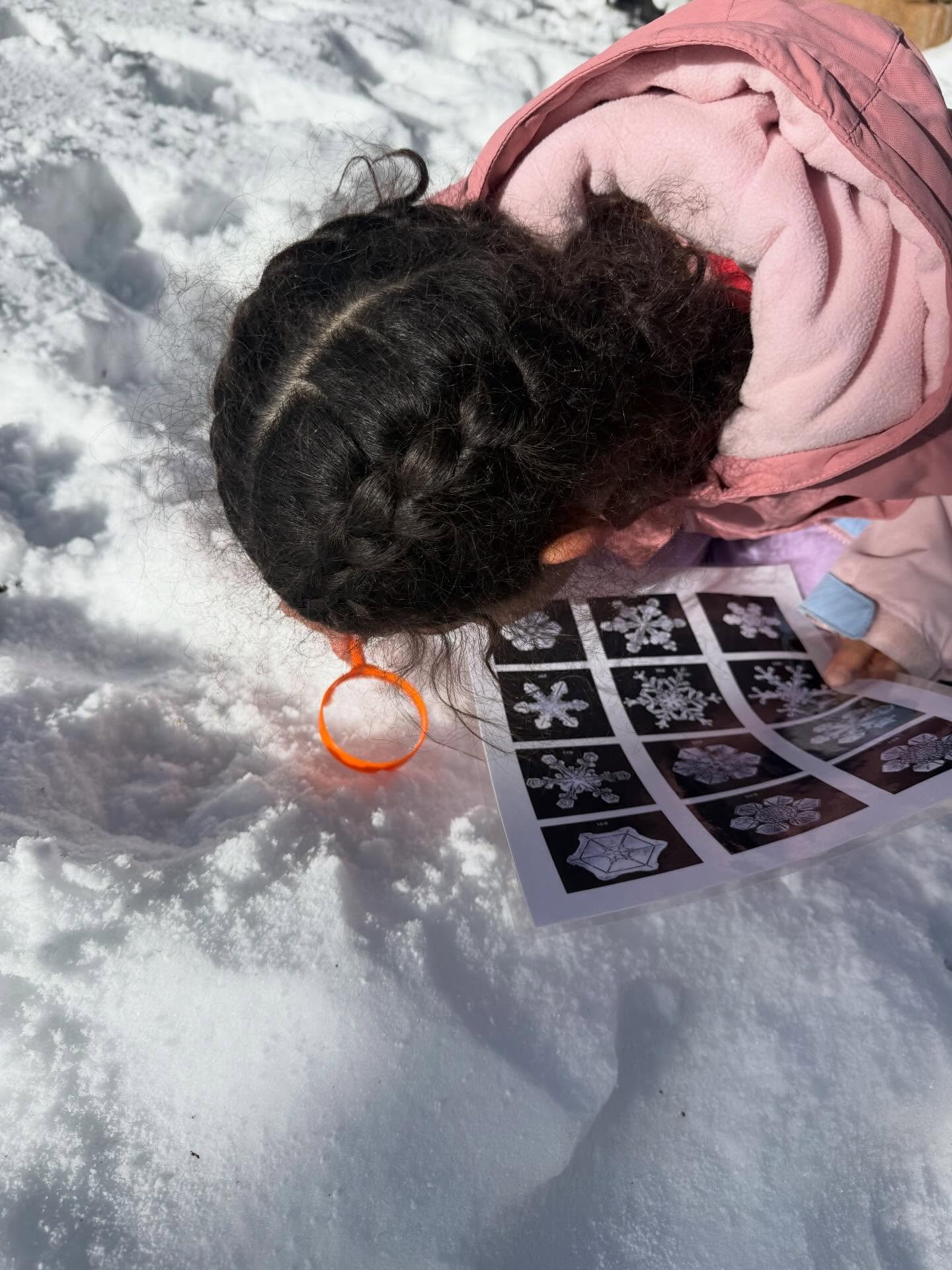 DID YOU KNOW?
- all snowflakes have six sides
- snowflakes come in many shapes and sizes and no two snowflakes are the same 
- yesterday, the average snow temperature in the shade was 29 and in the sun it was 31 degrees Fahrenheit 
- yesterday, the s