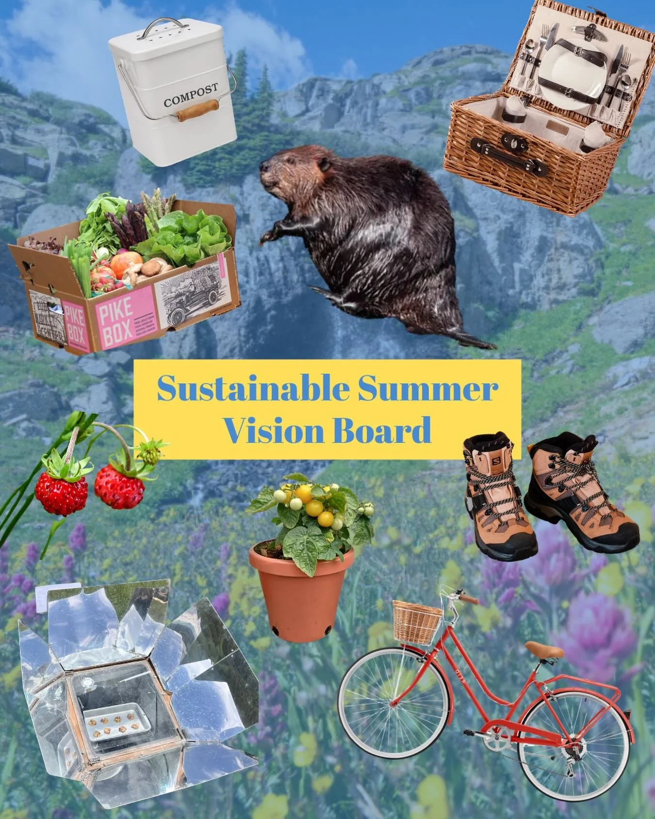 What&rsquo;s on your sustainable summer vision board? 
☀️🍓🌲🚲🧺🥾