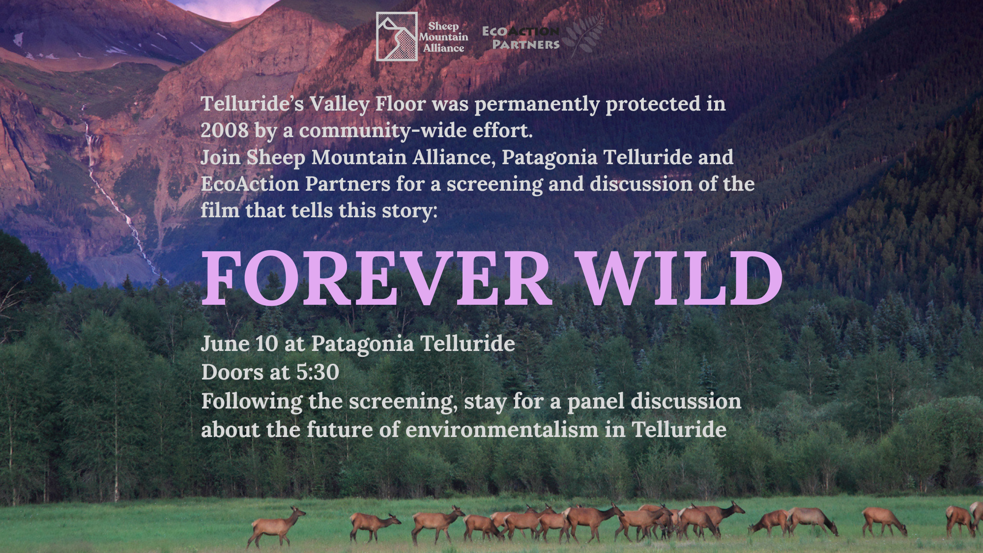 Forever Wild Film 