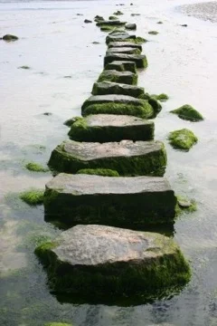 stone path.jpg