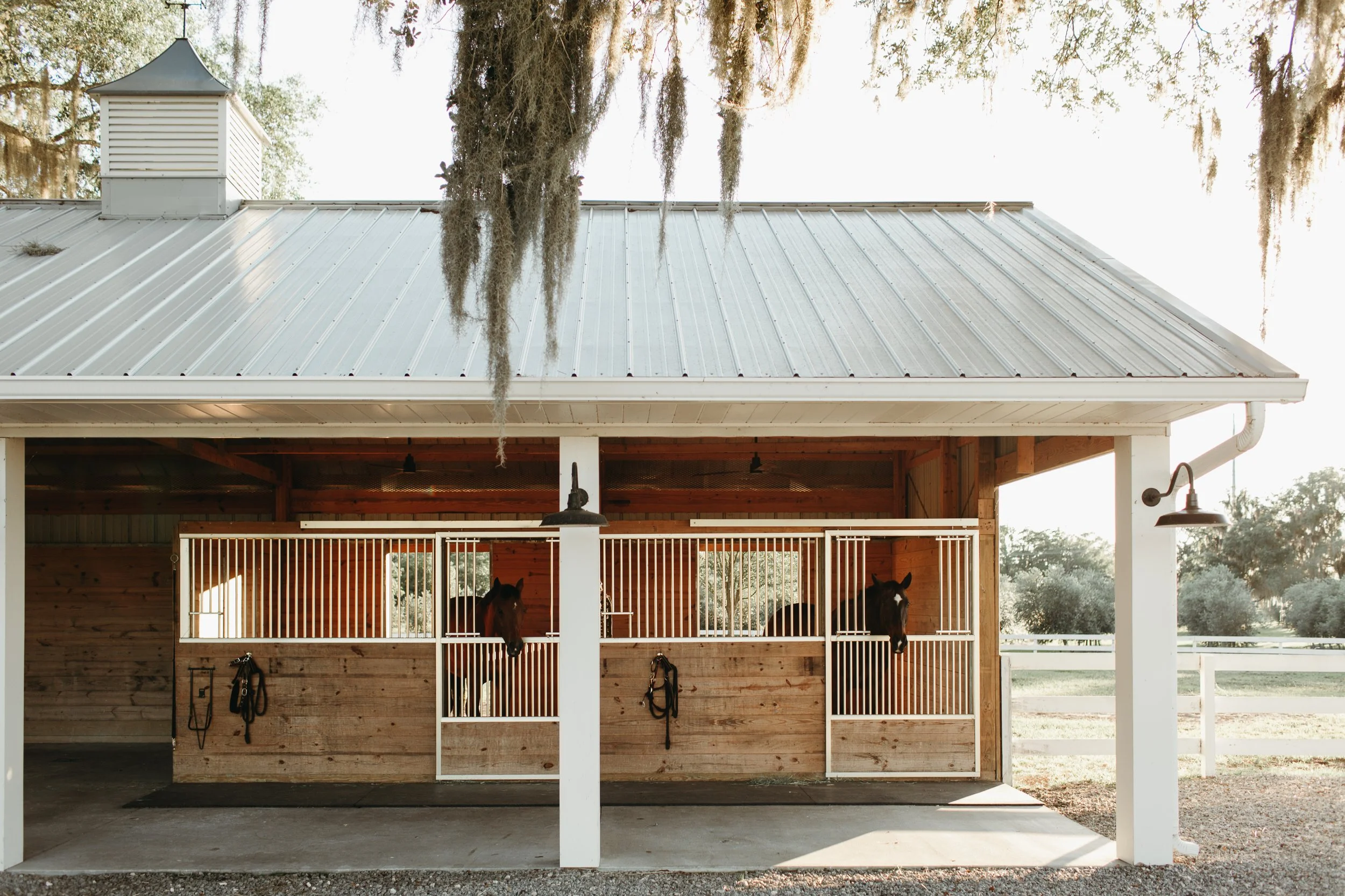 Congaree and Penn-Half Lease Opportunity