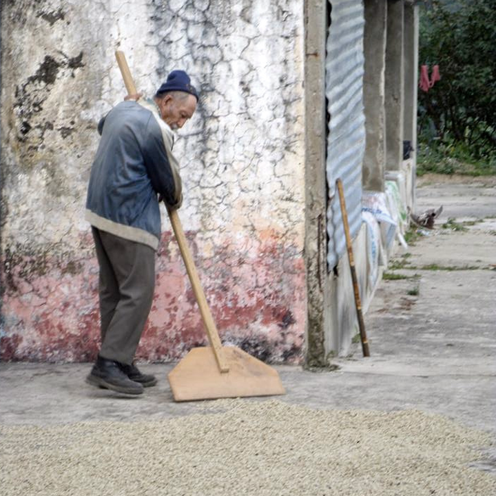 Proyecto Diaz Coffee