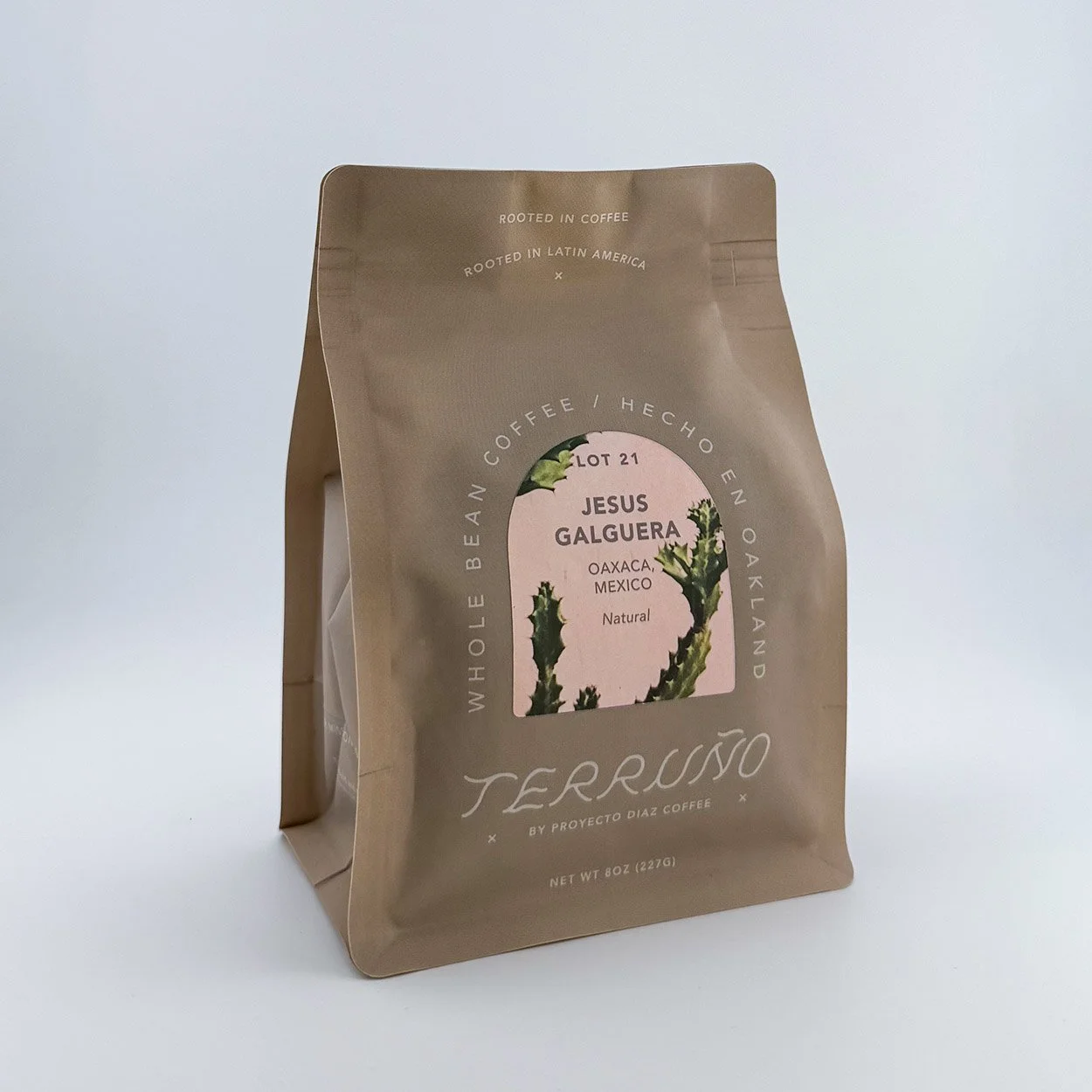 Lot 21, Jesus Galguera, Experimental Natural Process