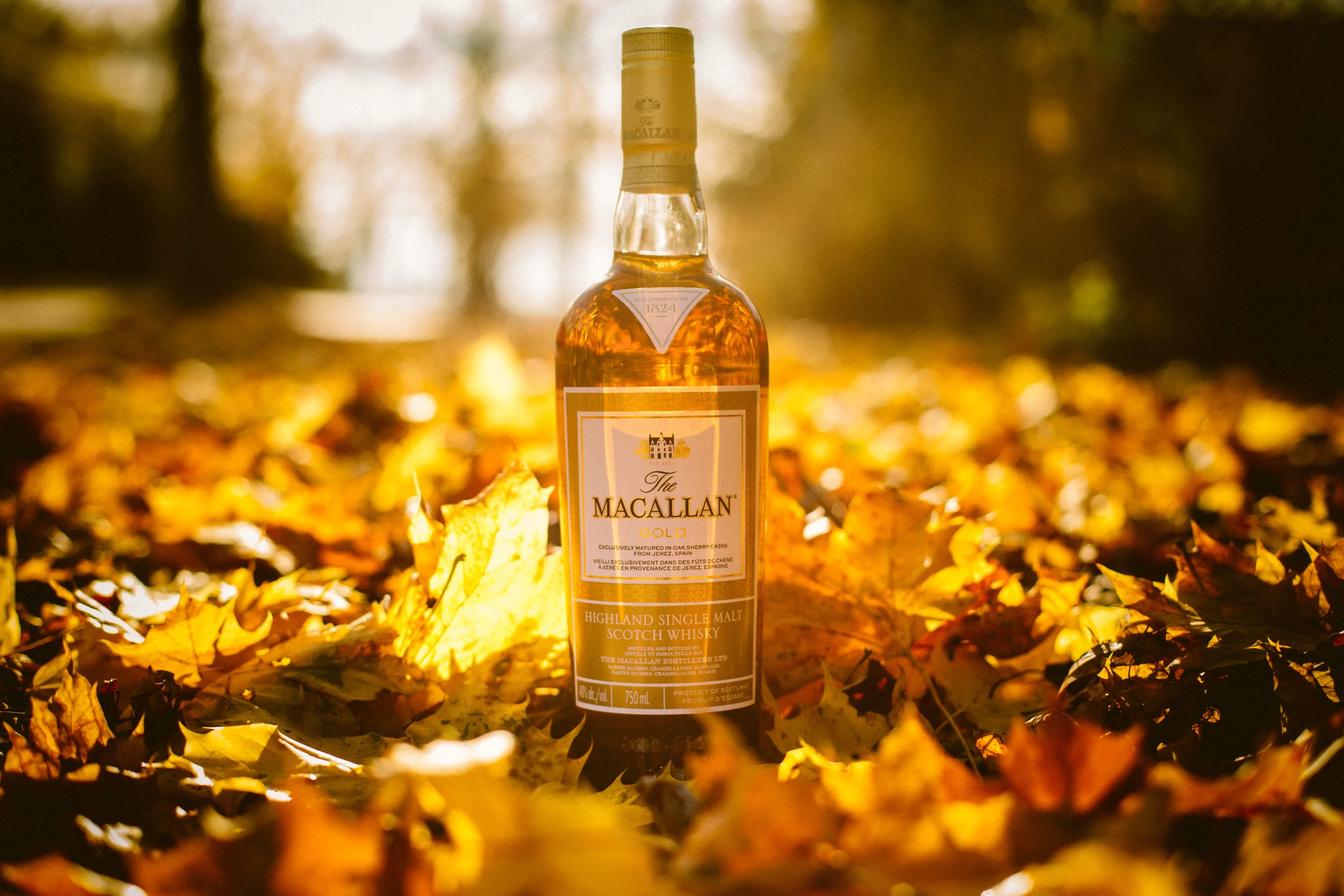 My Macallan x Harry Rosen Experience