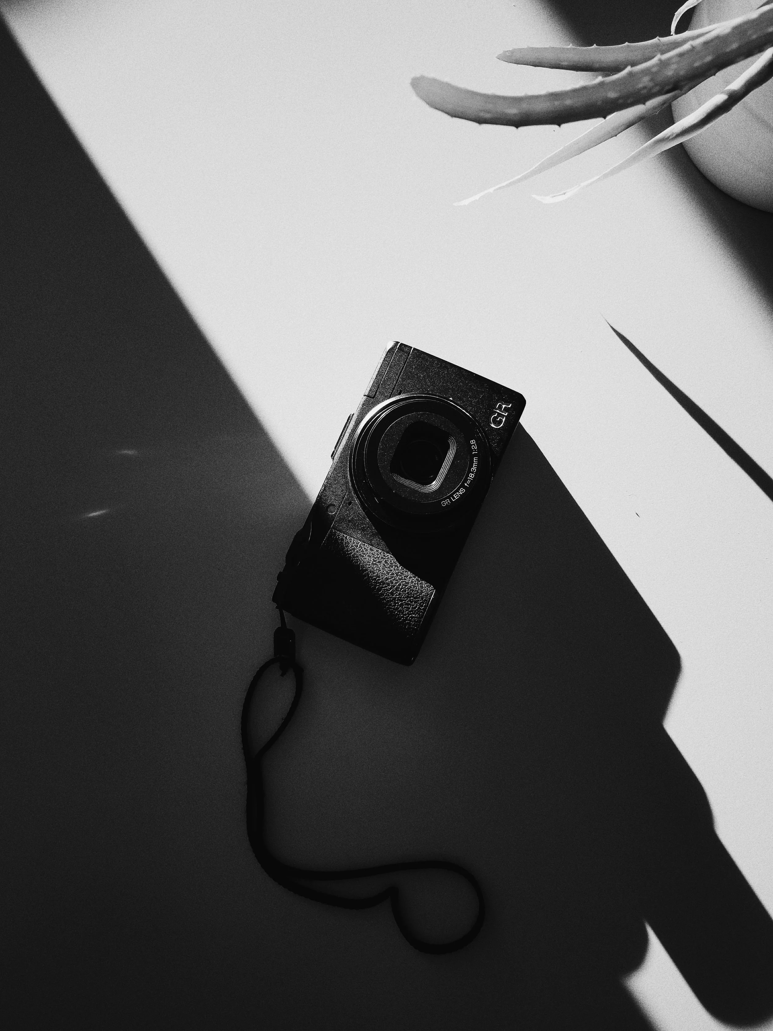 Why I needed a BW Photo a Day challenge... (day 1 & 2)