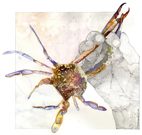 Crab4.jpg